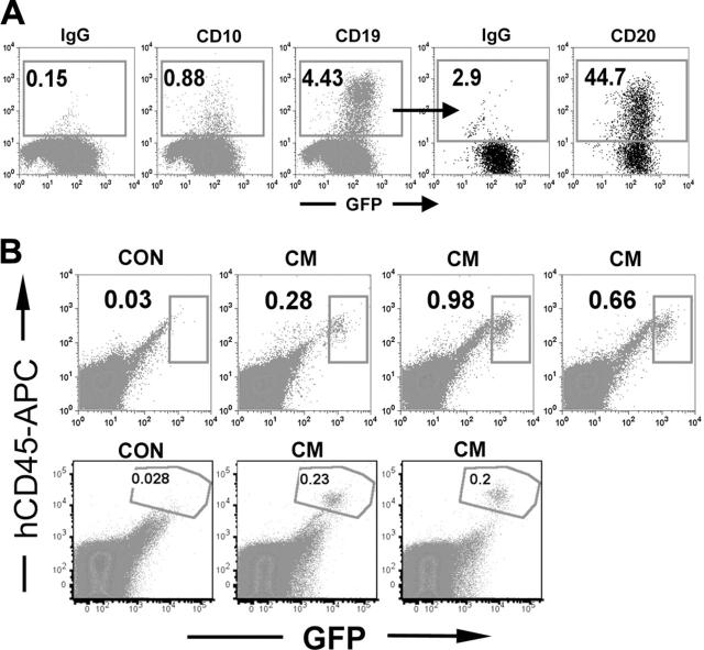 Figure 6.