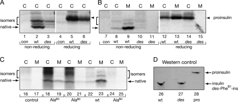 FIGURE 9.