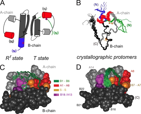 FIGURE 2.