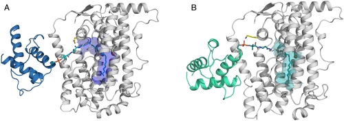 Fig. 4.