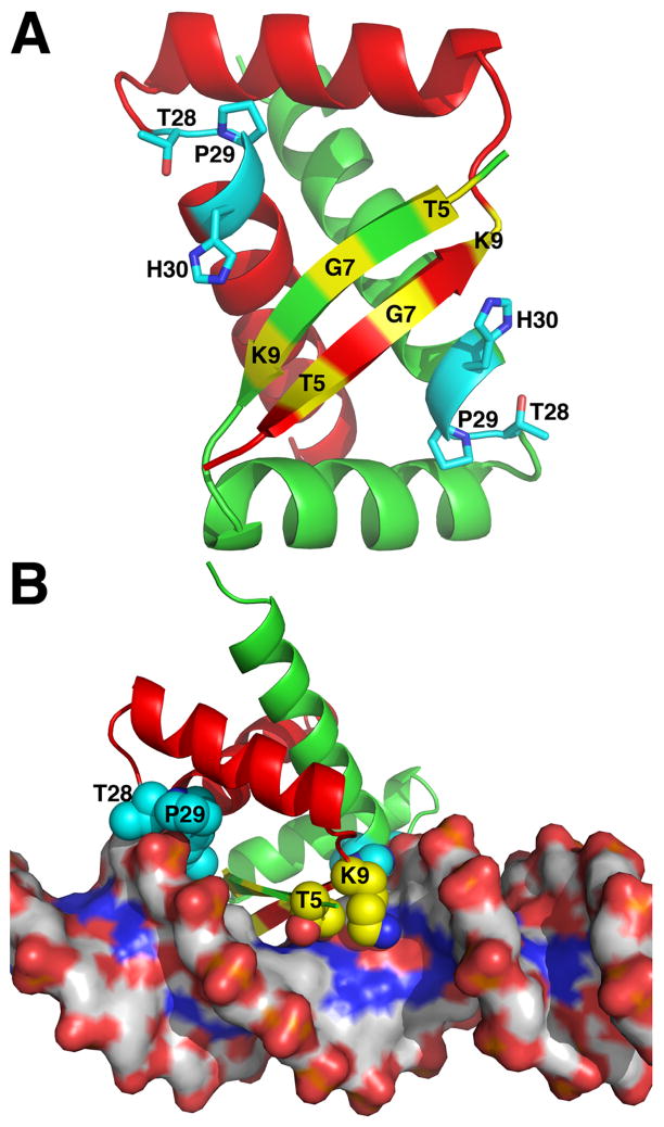 Fig. 7