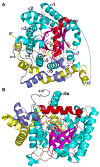 Fig. 4