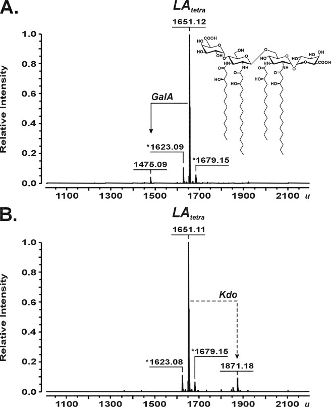 FIGURE 5.