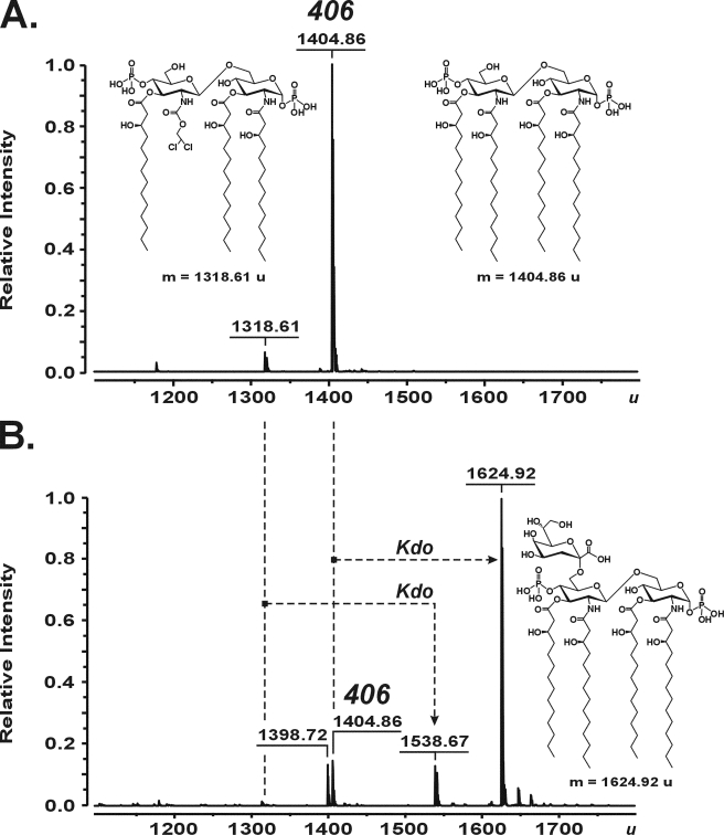 FIGURE 4.