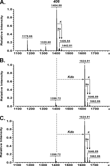 FIGURE 7.