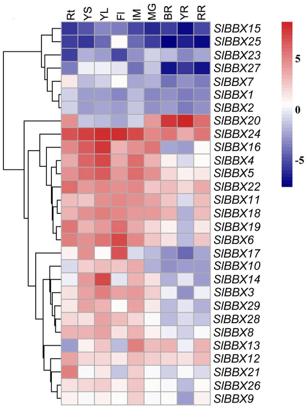 Figure 5