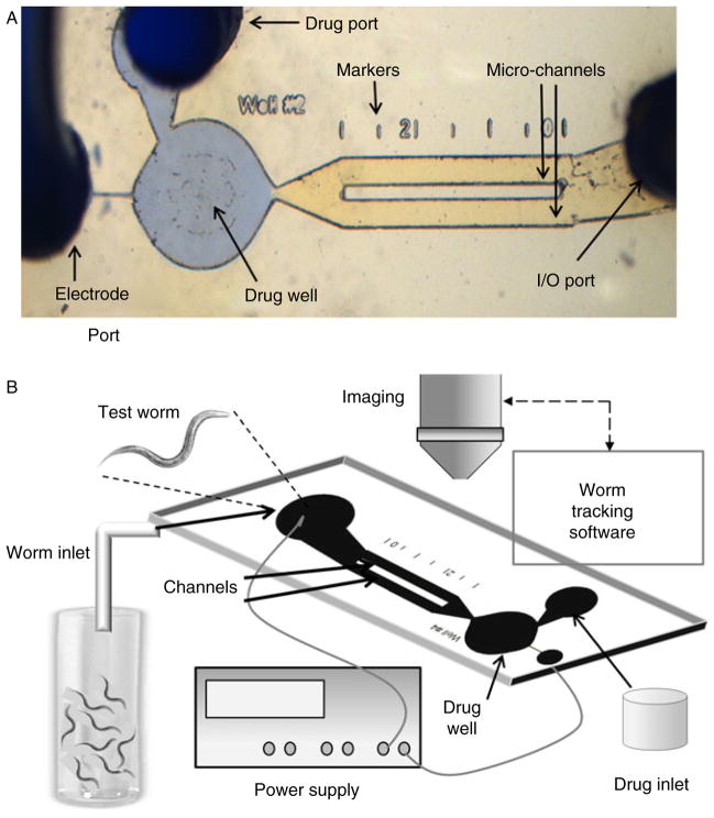 Fig. 3