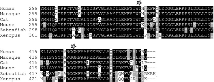 Figure 1—figure supplement 1.