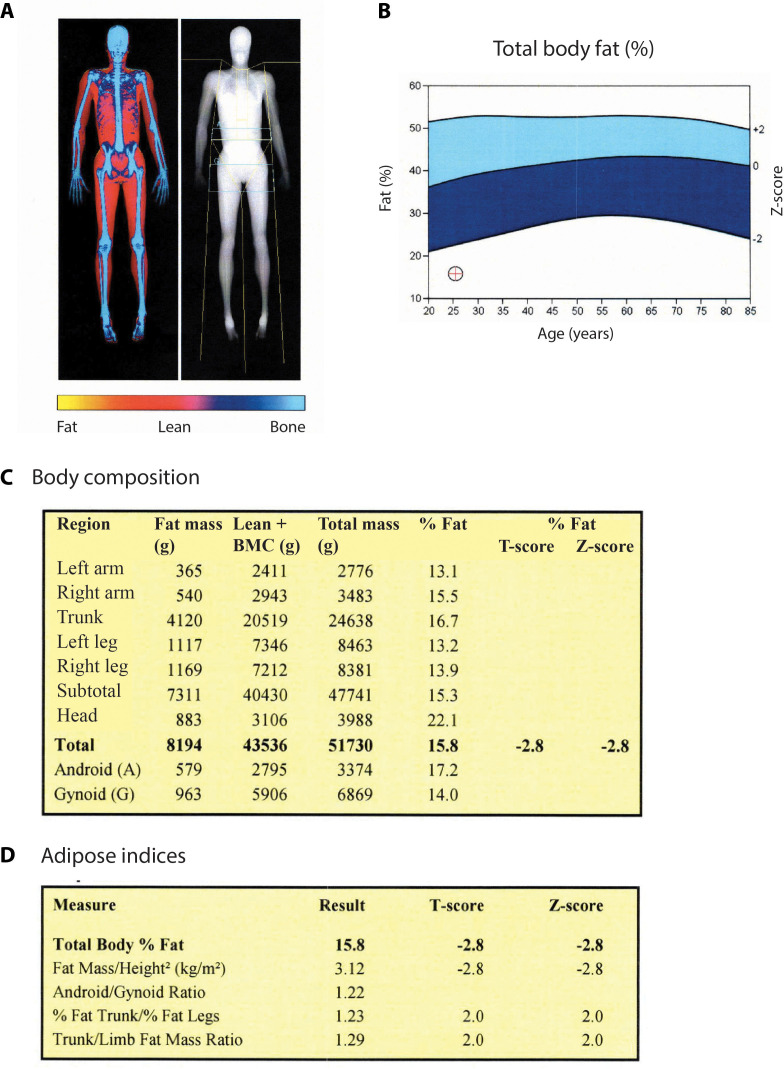 Figure 1—figure supplement 2.