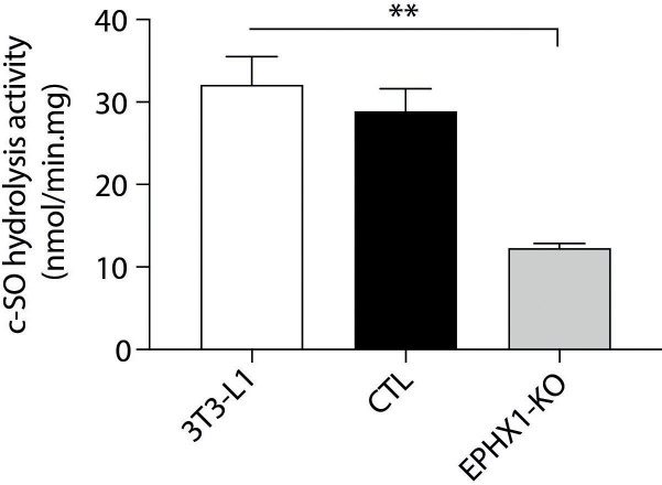 Figure 4—figure supplement 3.