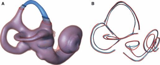 Fig. 5