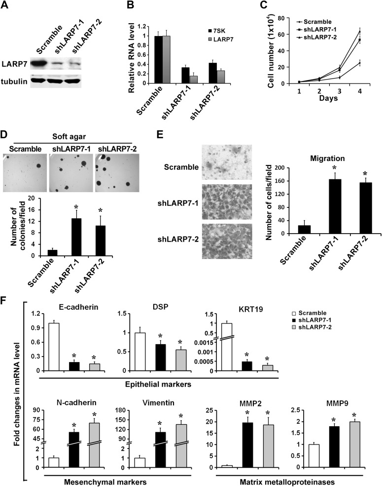 Figure 3—figure supplement 1.