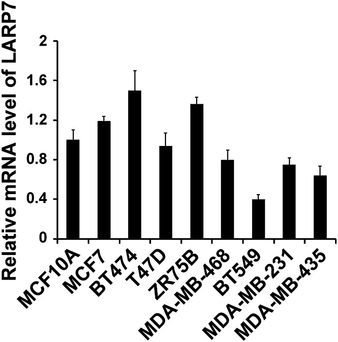 Figure 1—figure supplement 1.