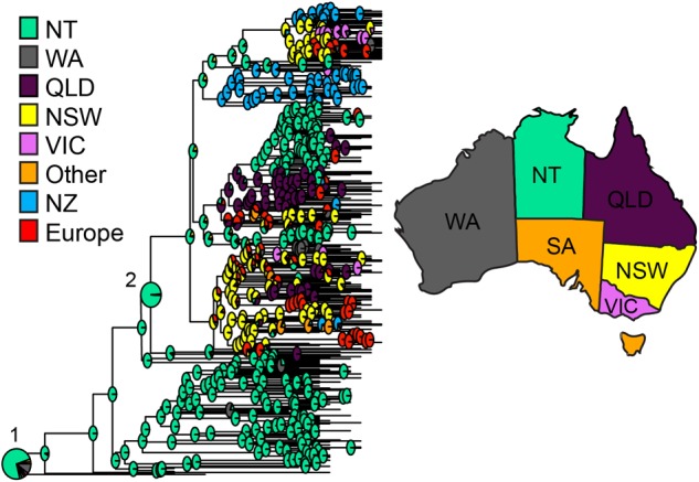 FIGURE 3