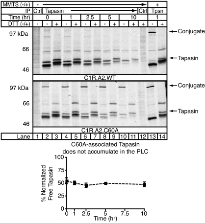 Fig. 3.