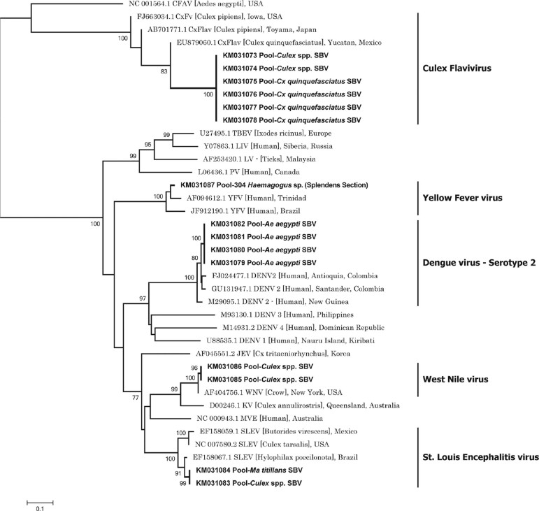 Fig. 4