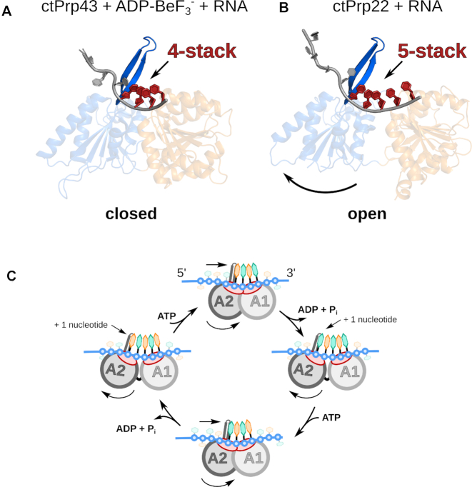 Figure 4.