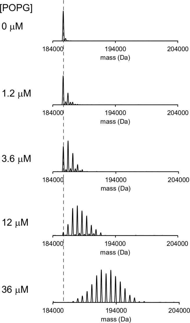 Figure 1—figure supplement 2.