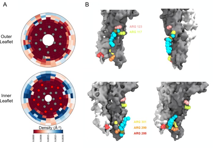 Figure 5.