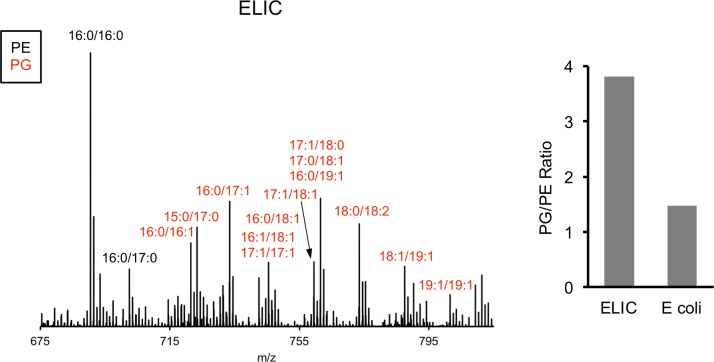 Figure 1—figure supplement 1.