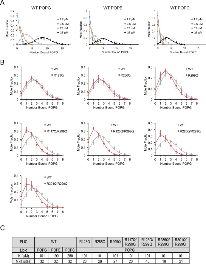 Figure 1—figure supplement 4.