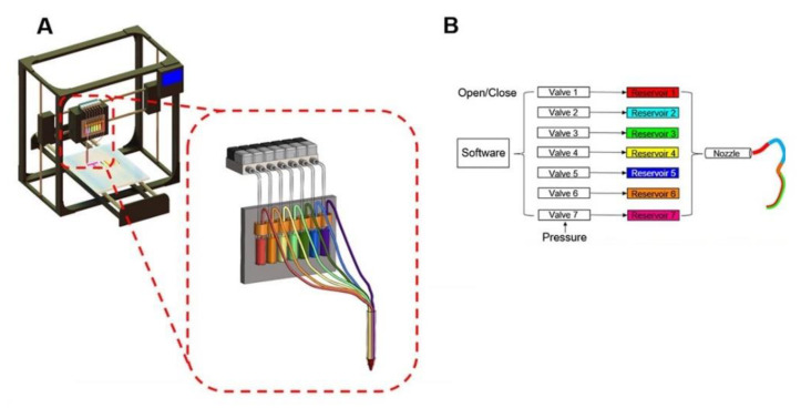 Figure 6