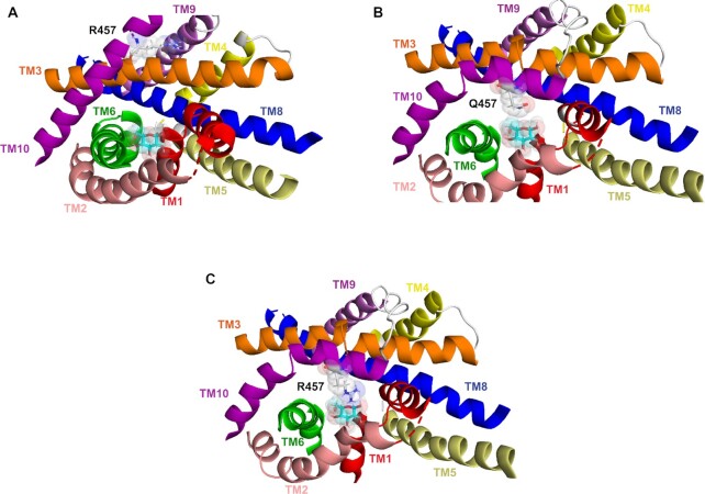 Figure 10.