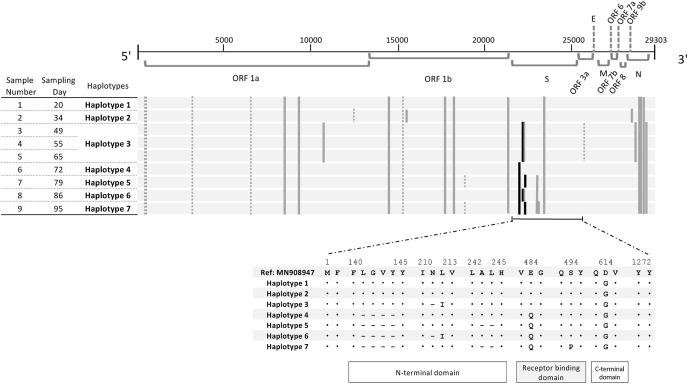 Fig. 3