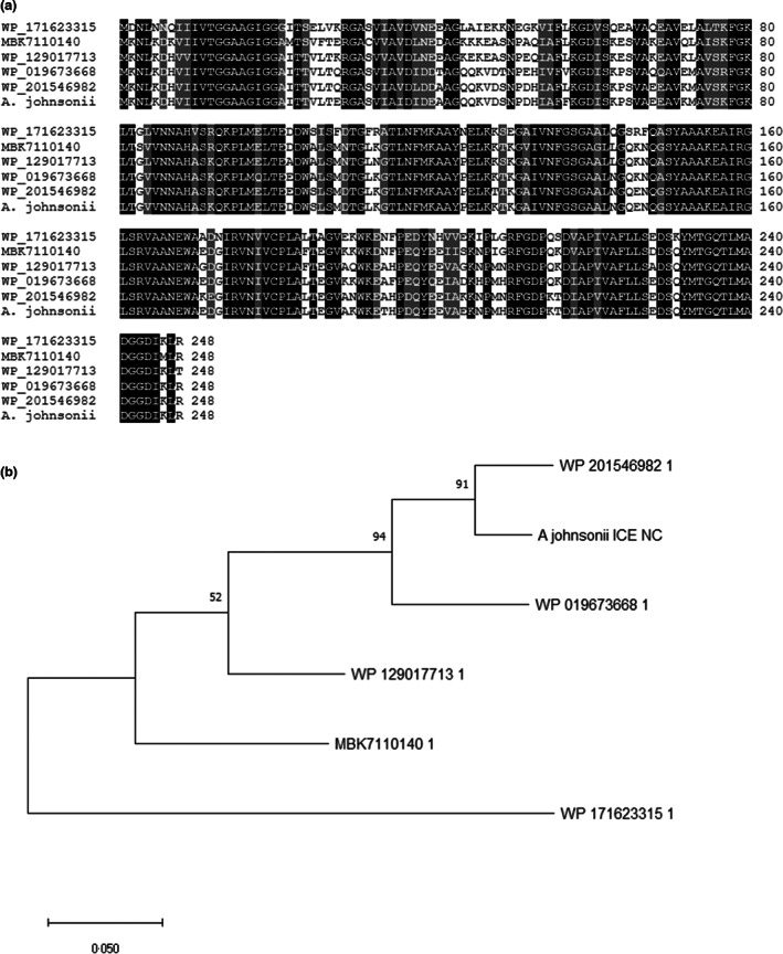 FIGURE 3