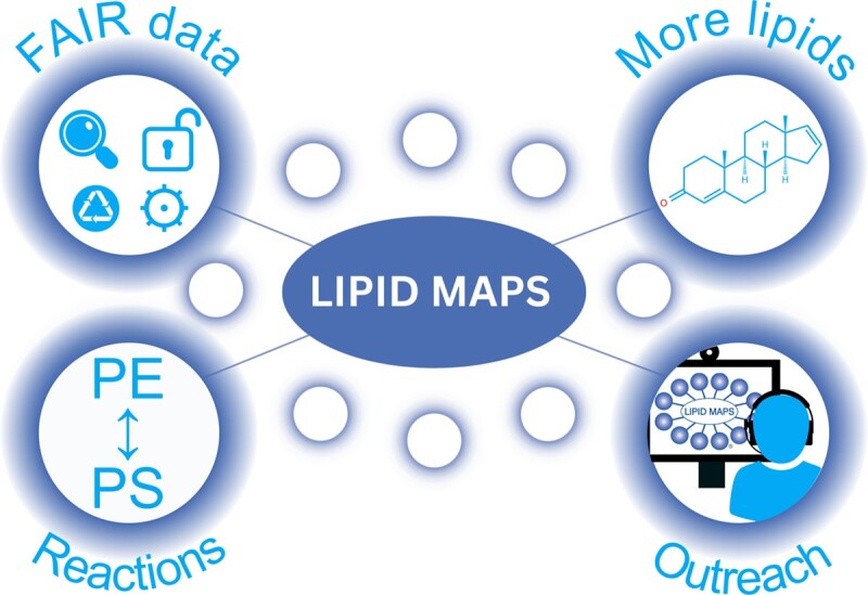 Graphical Abstract