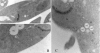 FIG. 6.
