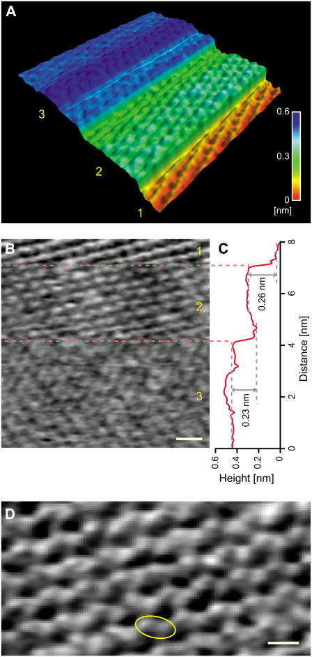 FIGURE 2