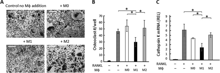 FIG 2