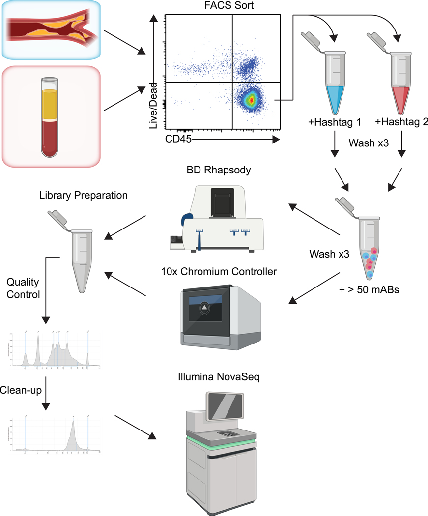 Figure 1.