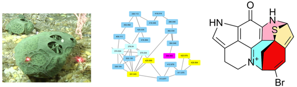 graphic file with name nihms-1993504-f0001.jpg