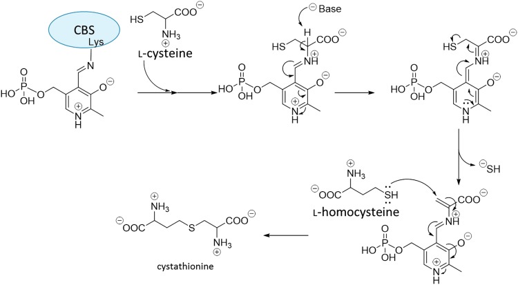 FIG. 8.