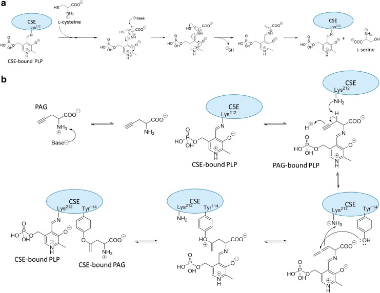 FIG. 7.