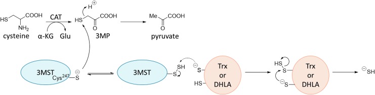 FIG. 9.