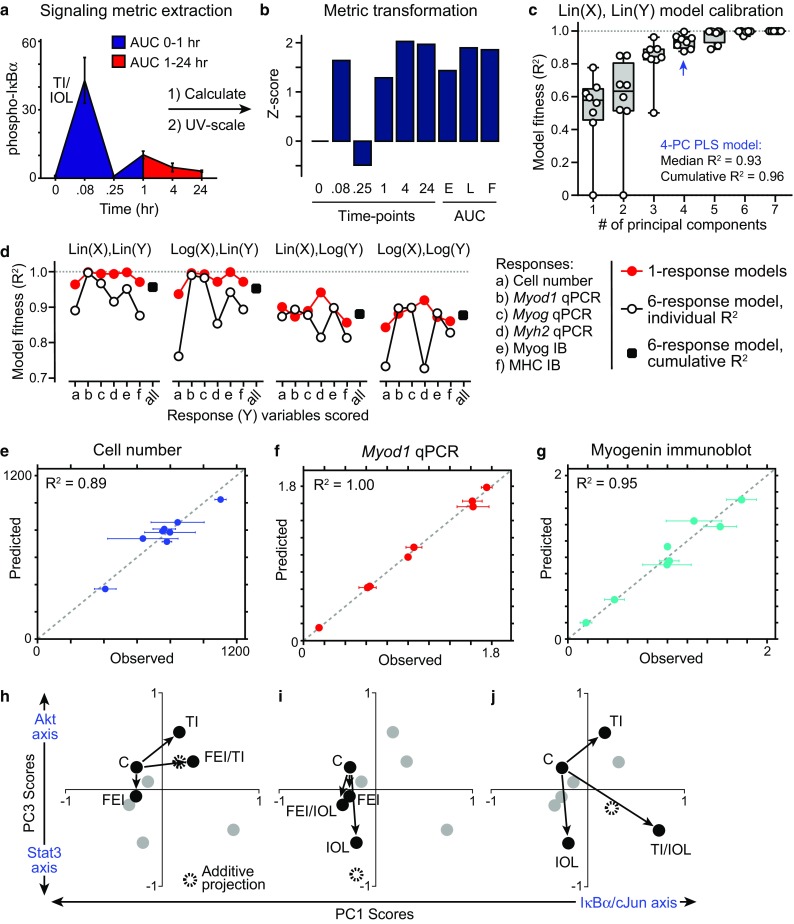 Figure 3