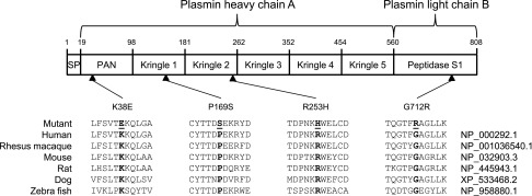 Figure 5.