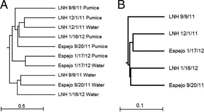 FIG 2