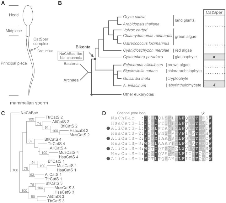 Fig. 3.