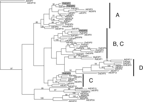 Figure 7.