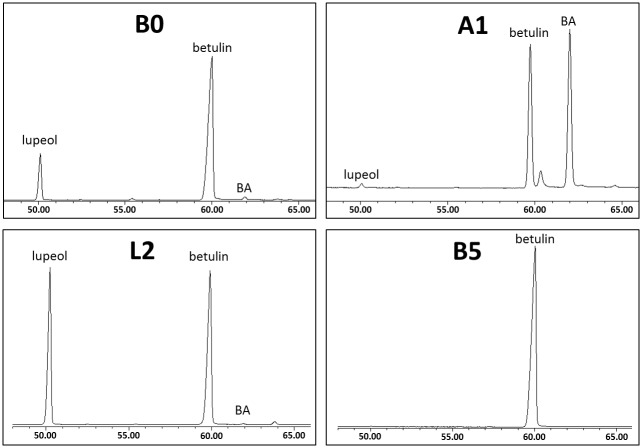 Fig 3