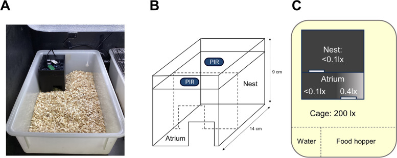Fig. 1