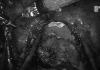 Figure 10.