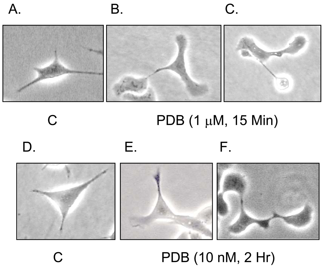 Fig. 9