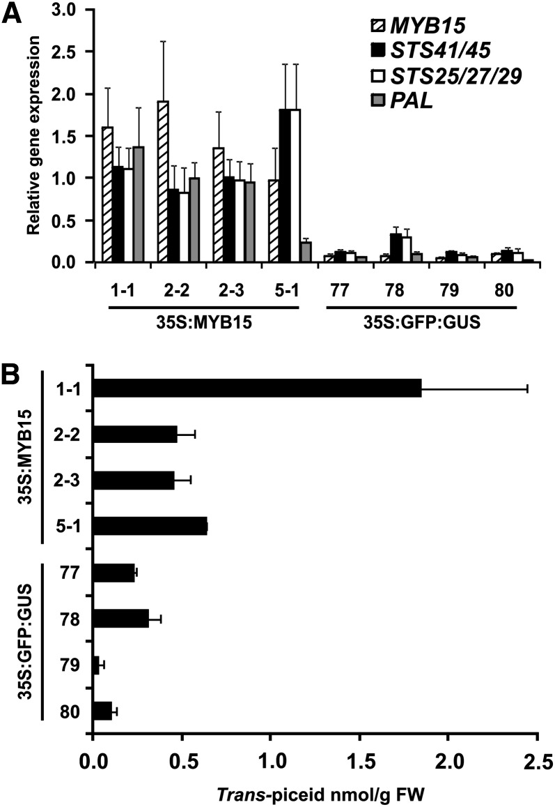 Figure 5.