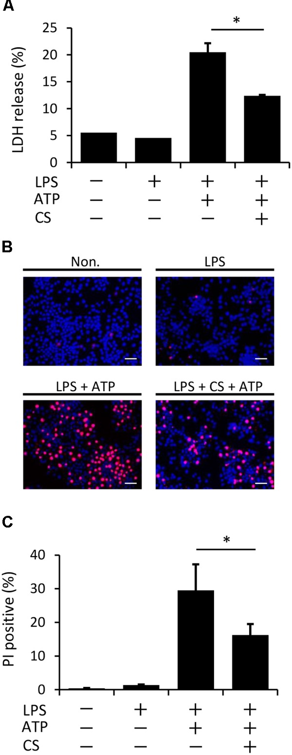 FIGURE 6