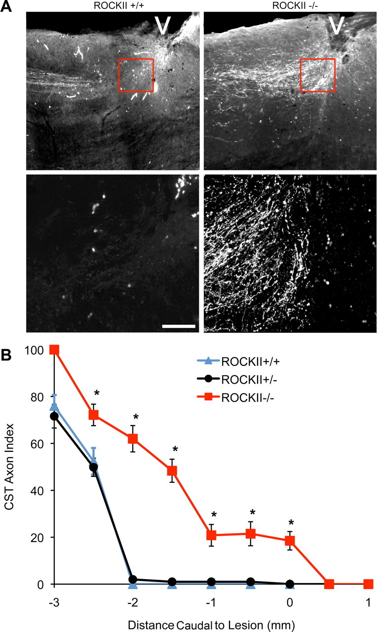 Figure 10.